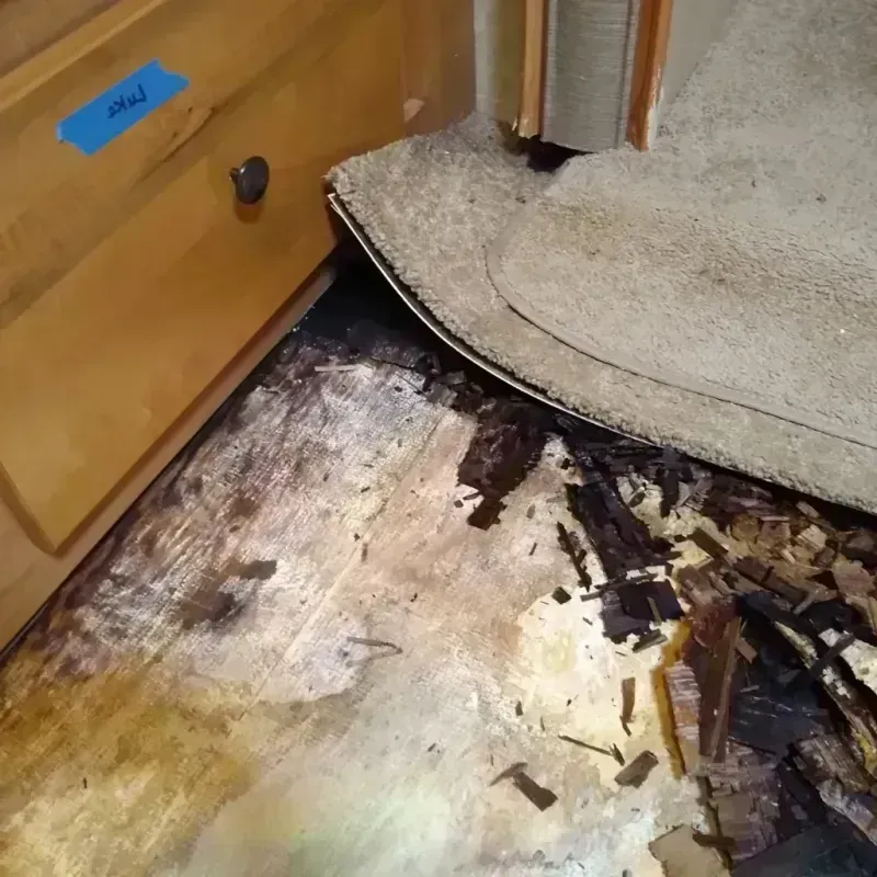 Wood Floor Water Damage in Salem, NJ